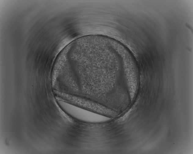 X0000091731521200709211010