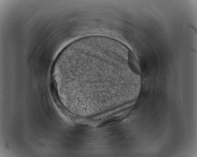 X0000091731523200709211010