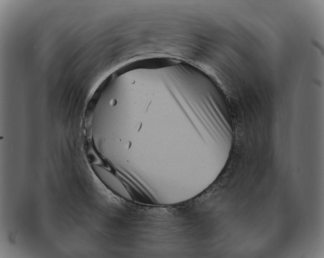 X0000091731524200709211010