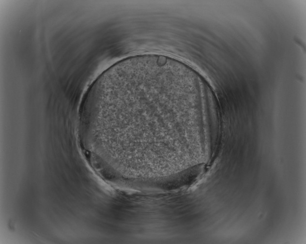 X0000091731525200709211010