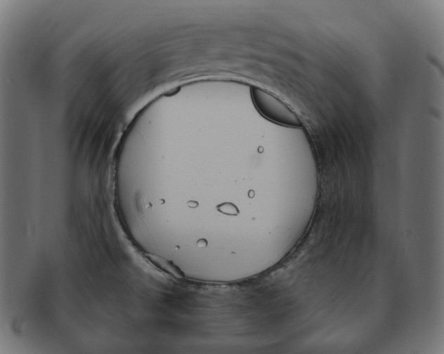 X0000091731526200709211010