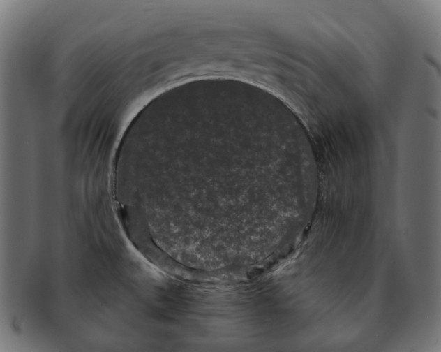 X0000091731527200709211010