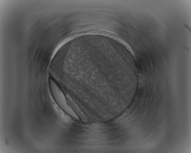 X0000091731530200709211010