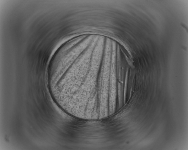 X0000091731531200709211010