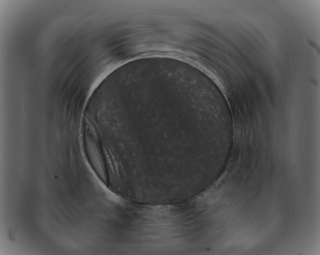 X0000091731533200709211010