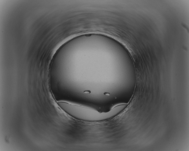 X0000091731534200709211010