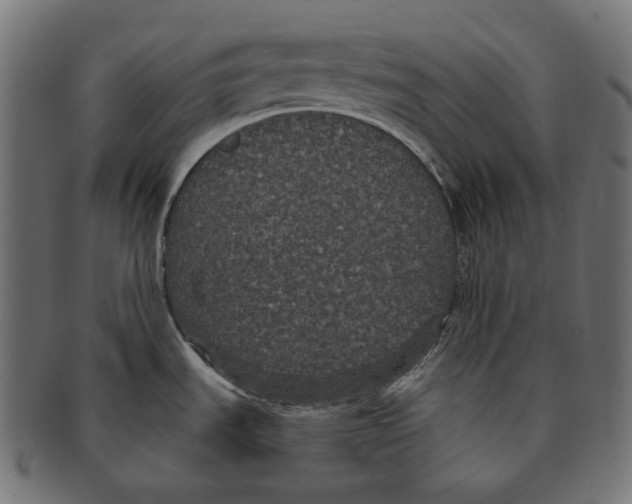 X0000091731535200709211011