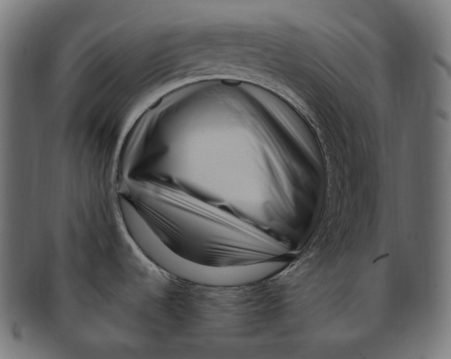 X0000091731536200709211011