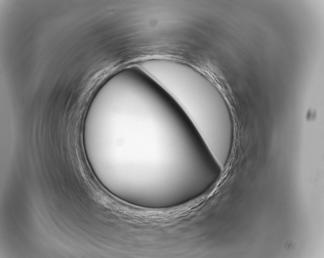 X0000091850001200709050945