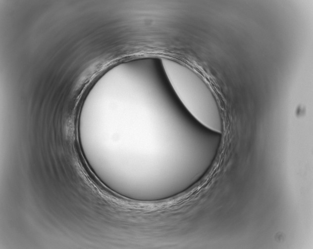 X0000091850002200709050945