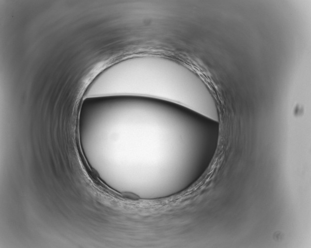 X0000091850003200709050945