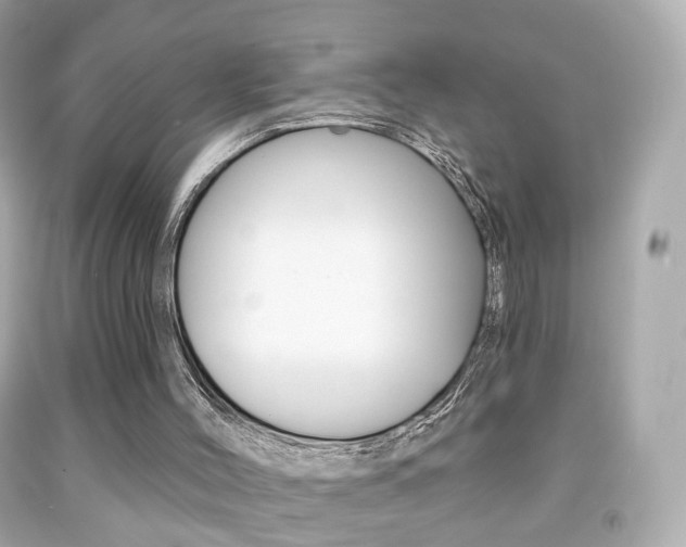 X0000091850004200709050945