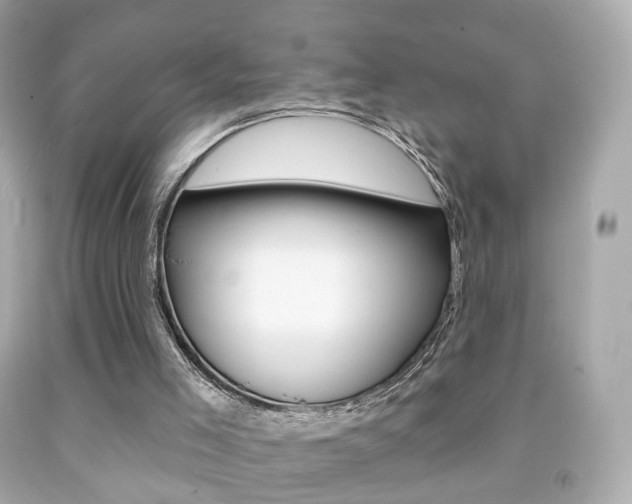 X0000091850005200709050945