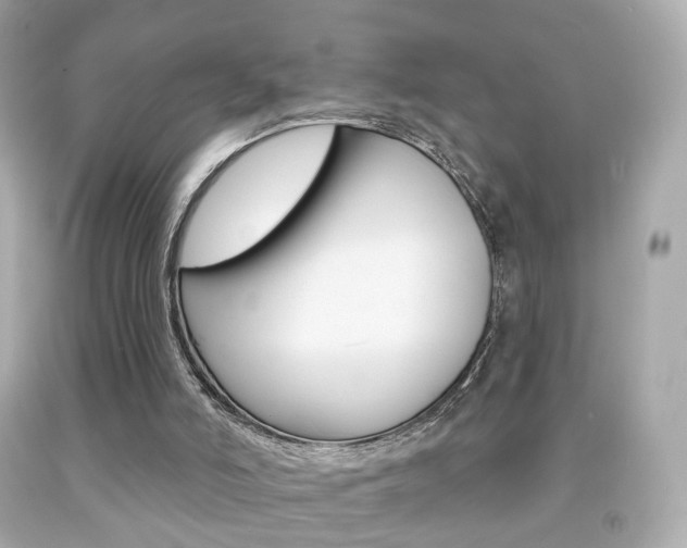 X0000091850006200709050945
