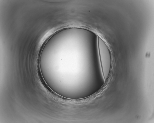 X0000091850007200709050945