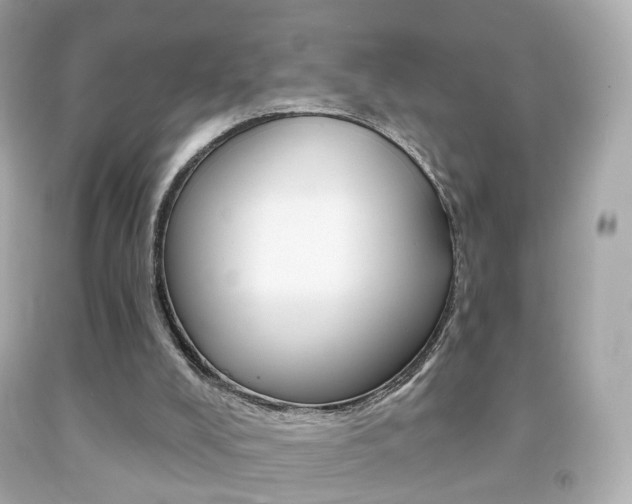 X0000091850008200709050945