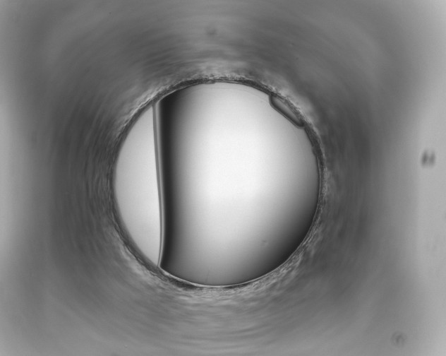 X0000091850009200709050945