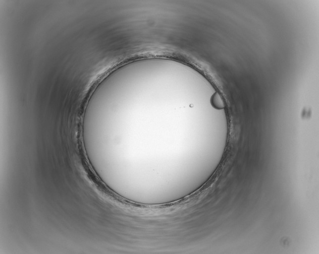 X0000091850010200709050945