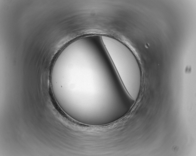 X0000091850011200709050945