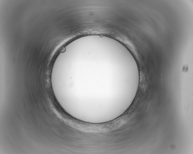 X0000091850012200709050945