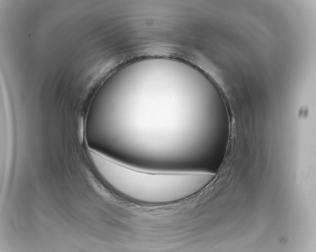 X0000091850013200709050945