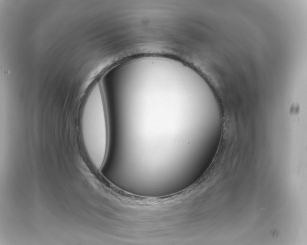 X0000091850015200709050945