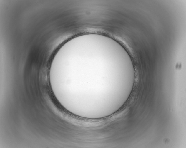 X0000091850016200709050945