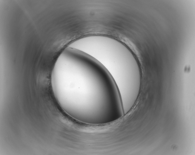 X0000091850017200709050945