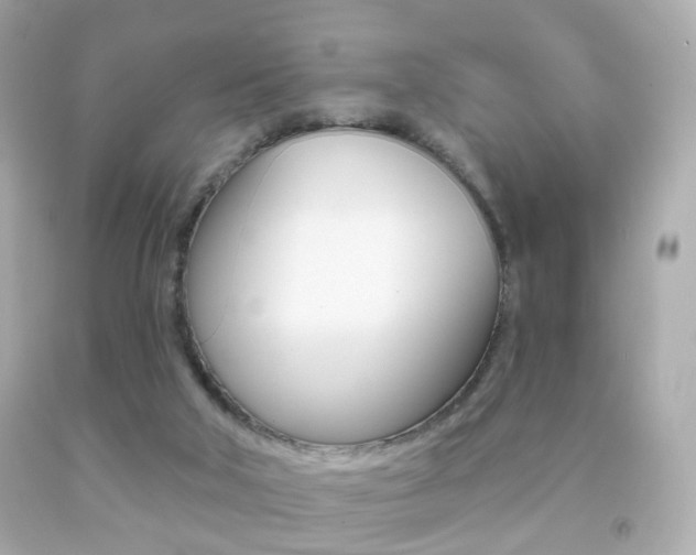 X0000091850018200709050945