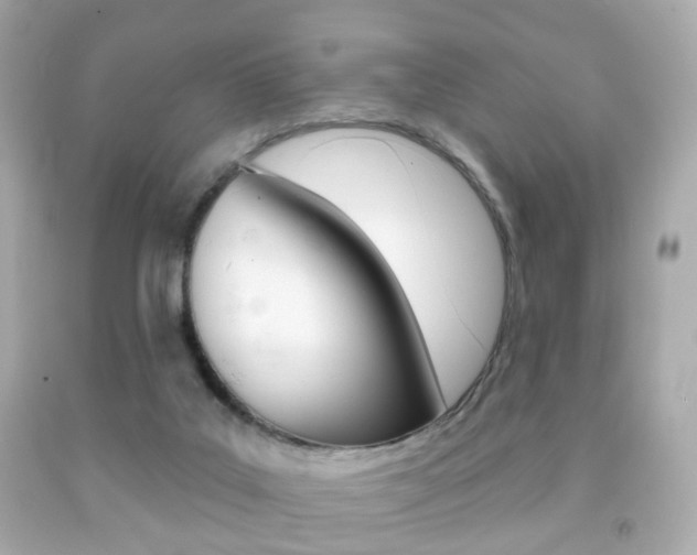 X0000091850019200709050945