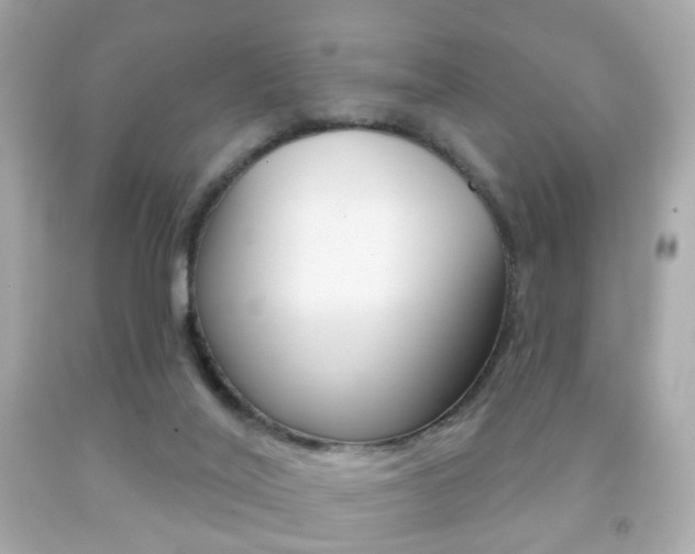 X0000091850020200709050945
