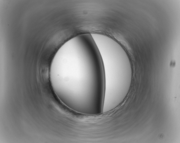 X0000091850021200709050945