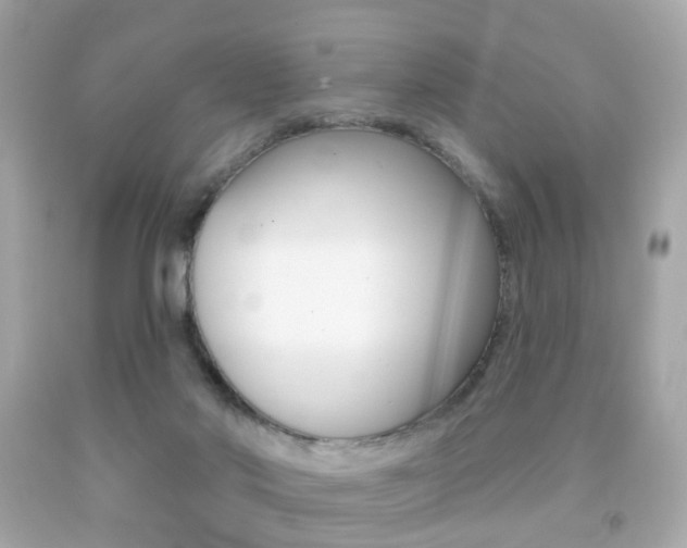X0000091850022200709050945