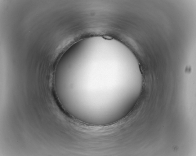 X0000091850023200709050945