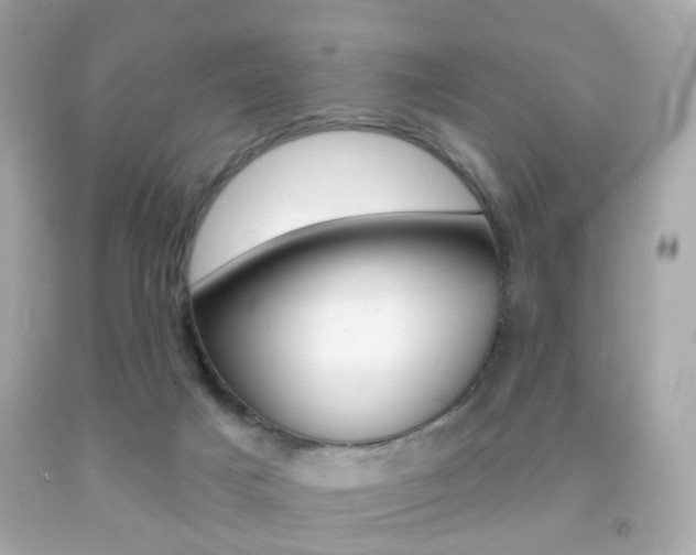 X0000091850025200709050945
