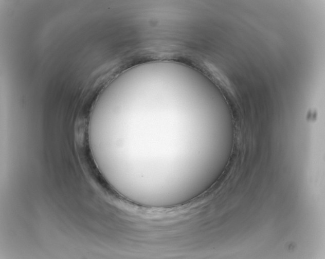 X0000091850026200709050945
