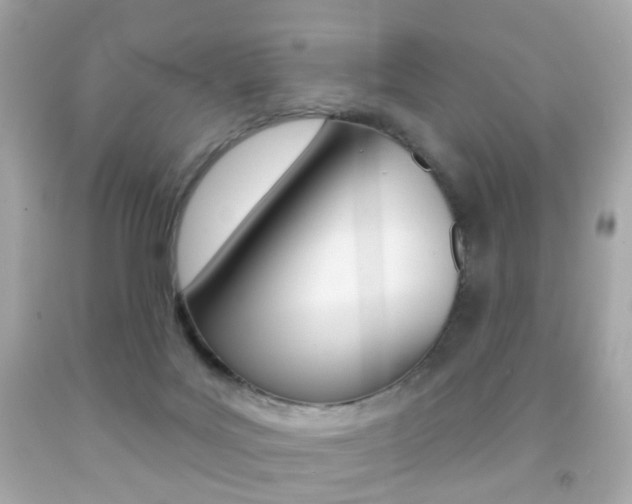 X0000091850027200709050945