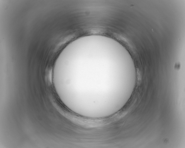 X0000091850028200709050945