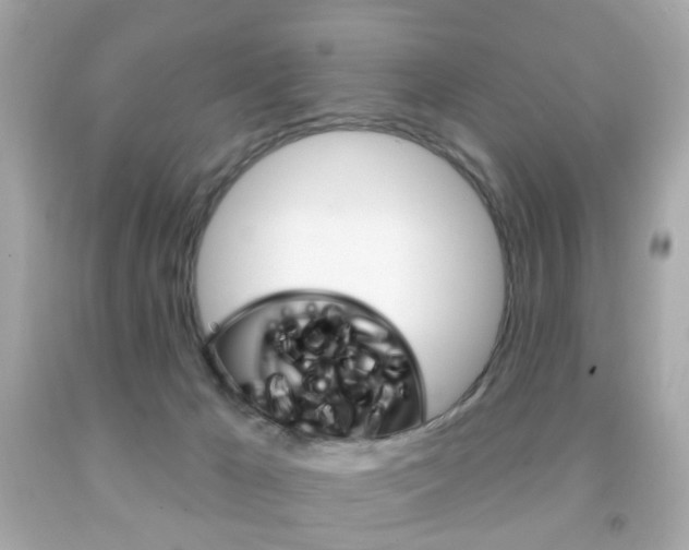 X0000091850029200709050945
