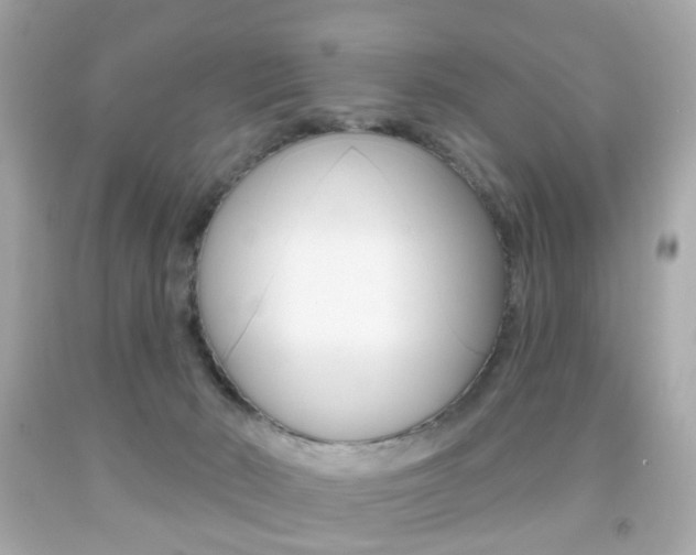 X0000091850030200709050945