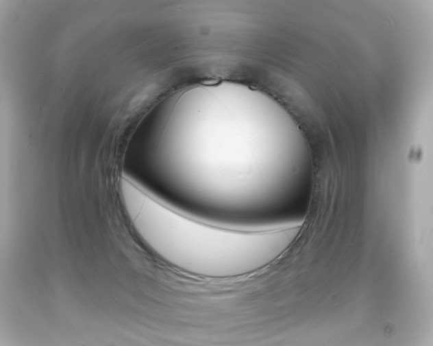 X0000091850031200709050945