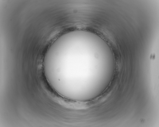 X0000091850032200709050945
