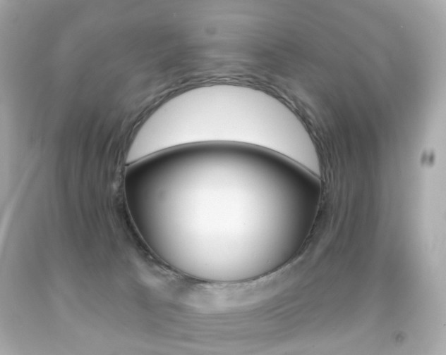X0000091850033200709050945