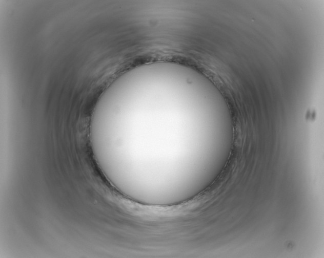 X0000091850034200709050945