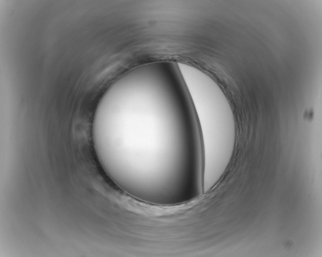 X0000091850035200709050945