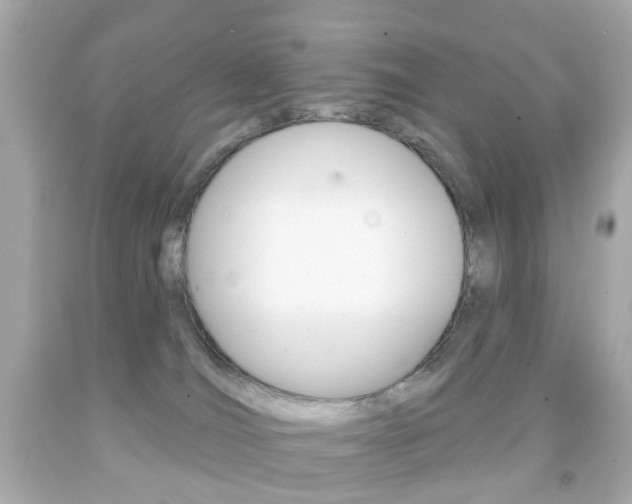 X0000091850036200709050945