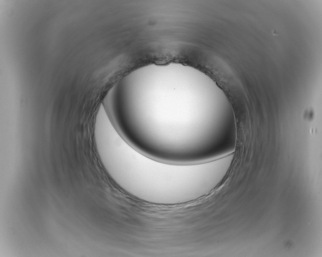 X0000091850037200709050945