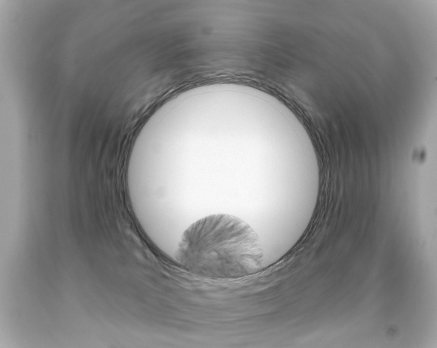 X0000091850039200709050945