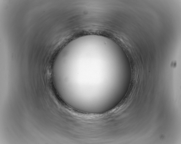 X0000091850040200709050945