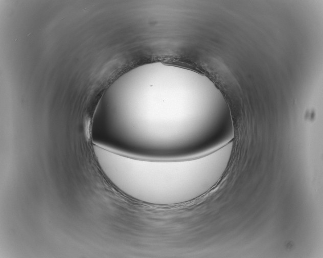 X0000091850041200709050945